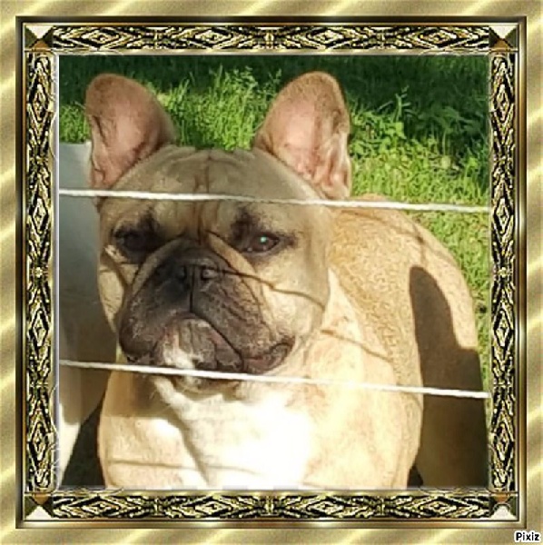 Lolly pop des chemins du bout du monde