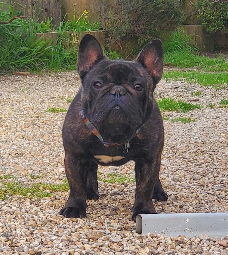 Uhbert zine des chemins du bout du monde