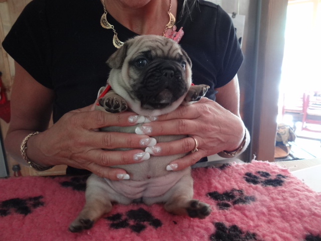 PETITE HAPPOLINE....POUR MAMAN NINIE !