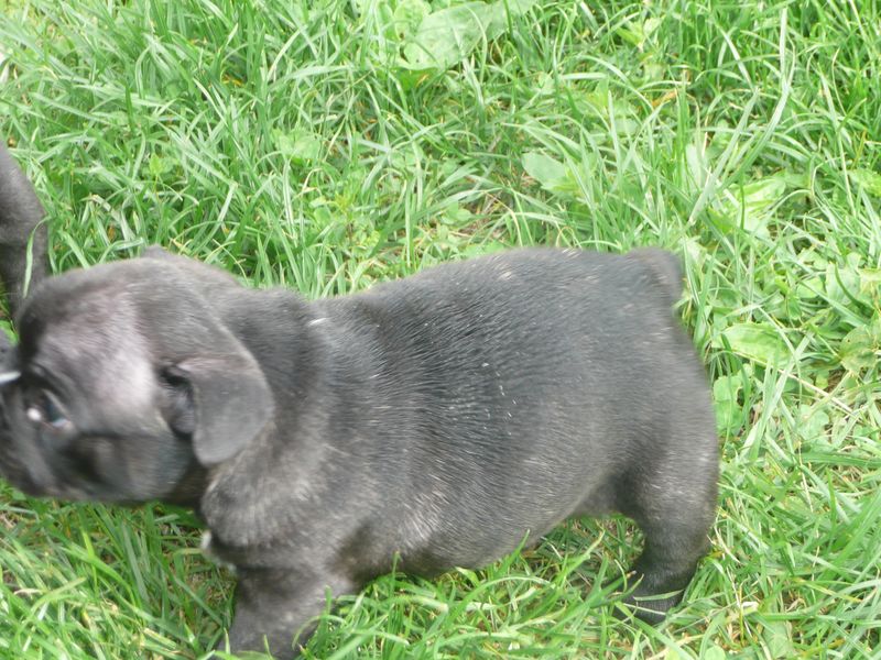 bebes 2010 a 5 semaines